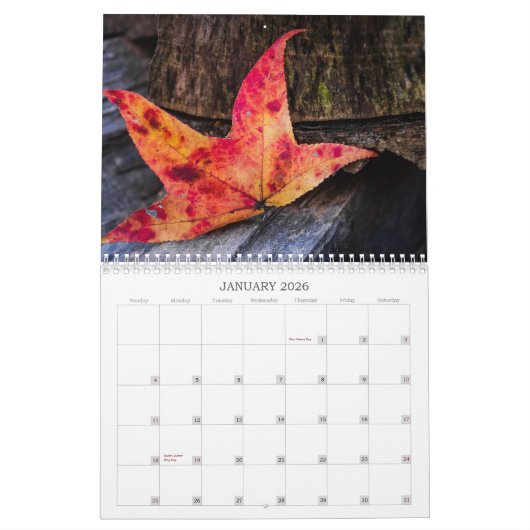 Fall Colors Kalender (Jan 2026)
