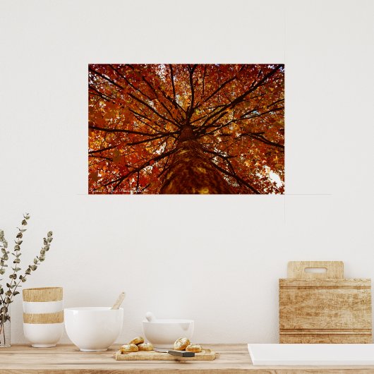 Fall Colors Poster (Keuken)