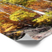 Fall Colors Poster (Hoek)