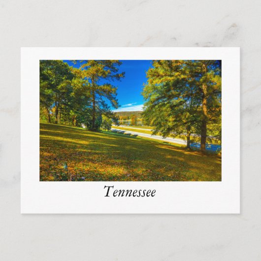 Fall Colors Tennessee Briefkaart (Voorkant)