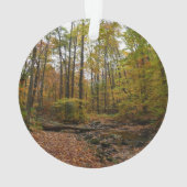 Fall Creek à Laurel Hill State Park Pennsylvania (dos)