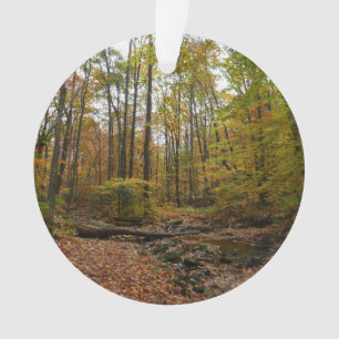 Fall Creek à Laurel Hill State Park Pennsylvania