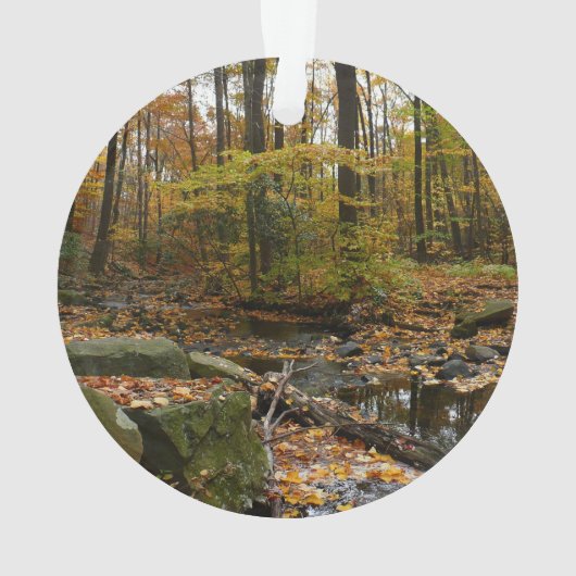 Fall Creek avec réflexion à Laurel Hill Park (dos)