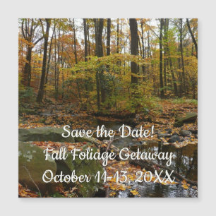 Fall Creek met reflectie bij Laurel Hill Park