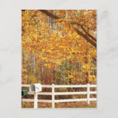 Fall Day Postcard Briefkaart (Voorkant)