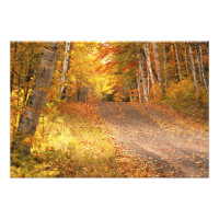 Fall Foliage Rural Road U.P. Michigan Photographie