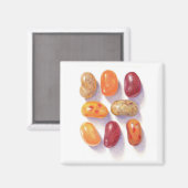 FALL JELLY BEANS Aimant Carré (Recto/Verso)