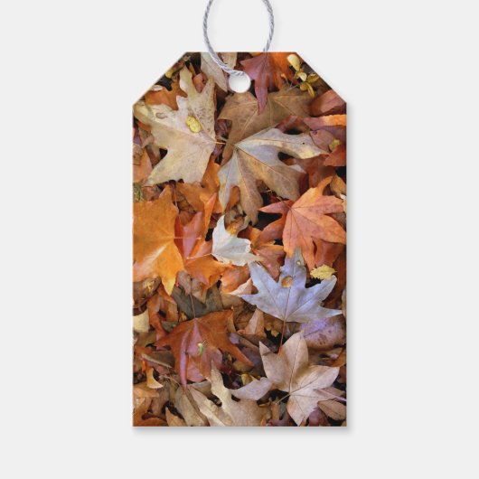 Fall Leaf Cadeaulabel (Voorkant)