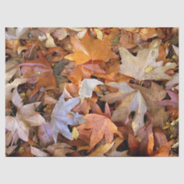 Fall Leaf Tissuepapier