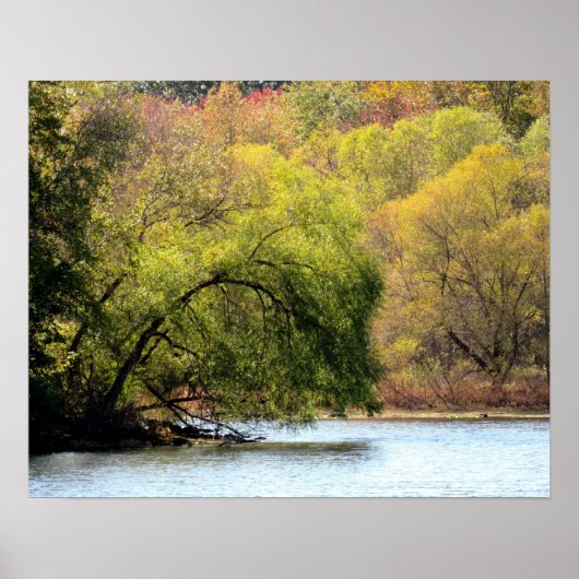Fall Leaves - Affiche de beauté d'automne (Devant)