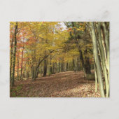 Fall Leaves Autumn Foliage Photo Holiday Briefkaart (Voorkant)