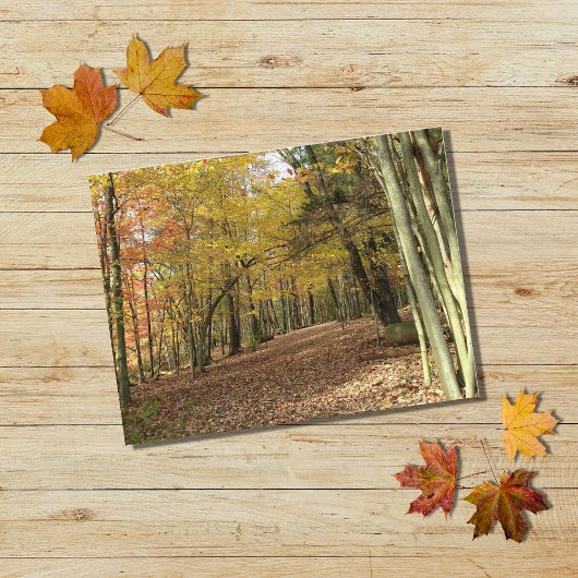Fall Leaves Autumn Foliage Photo Holiday Briefkaart