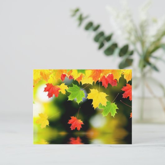 Fall Leaves Briefkaart (Staand voorkant)