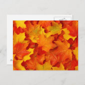 Fall Leaves Briefkaart (Voorkant / Achterkant)