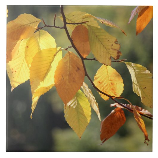 Fall Leaves Foliage Ceramic Tile Tegeltje (Voorkant)
