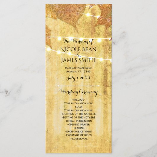 Fall Leaves Golden Autumn Rustieke Bossen Programm Programma (Voorkant)