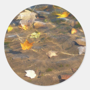 Fall Leaves in Pond Water Natuur Fotografie Ronde Sticker