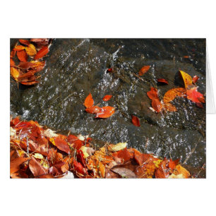Fall Leaves in Waterfall I Autumn Photography