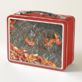 Fall Leaves in Waterfall I Autumn Photography (Achterkant)