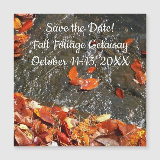 Fall Leaves in Waterfall I Autumn Photography (Voorkant)