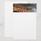 Fall Leaves in Waterfall I Autumn Photography Briefpapier (Voorkant / Achterkant)