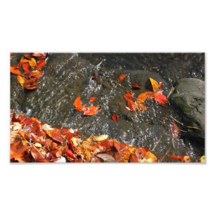 Fall Leaves in Waterfall I Autumn Photography Foto Afdruk