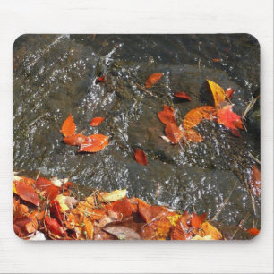 Fall Leaves in Waterfall I Autumn Photography Muismat