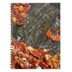 Fall Leaves in Waterfall I Autumn Photography Notitieboek