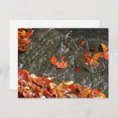 Fall Leaves in Waterfall I Autumn Photography Notitiekaartje (Voorkant / Achterkant)