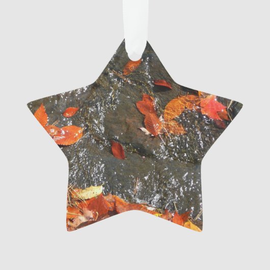 Fall Leaves in Waterfall I Autumn Photography Ornament (voorkant)
