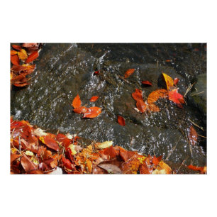 Fall Leaves in Waterfall I Autumn Photography Perfect Poster