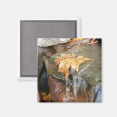 Fall Leaves in Waterfall II Autumn Photography Magneet (Voorkant / Achterkant)