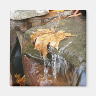 Fall Leaves in Waterfall II Autumn Photography Magneet