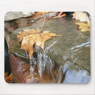Fall Leaves in Waterfall II Autumn Photography Muismat