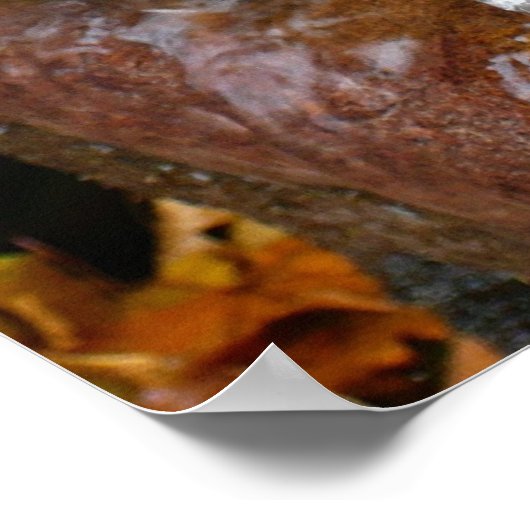 Fall Leaves in Waterfall II Autumn Photography Poster (Hoek)