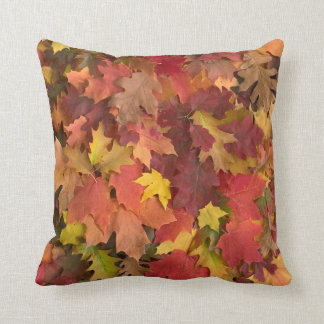 Fall Leaves Mixed Colors Pillow Kussen