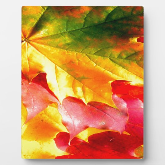 Fall Leaves personaliseer het Geel, Rood, Groen, Fotoplaat (Voorkant)