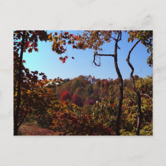 "Fall Leaves Scene" Briefkaart