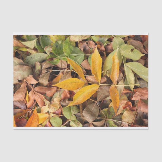 Fall Leaves Tissue Paper Tissuepapier (Voorkant)