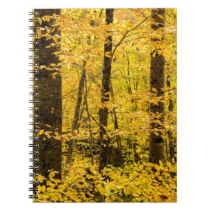 Fall Pisgah National Forest Notitieboek