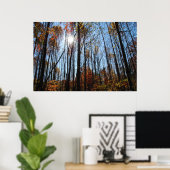 Fall trees poster (Bureau à domicile)