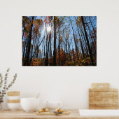 Fall trees poster (Cuisine)