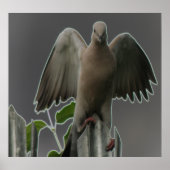 Fallen Angel Dove Print (Voorkant)