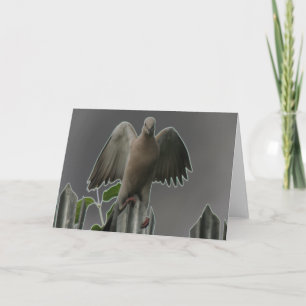 Fallen Angel Dove Wenskaart Kaart