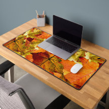 Fallen Autumn Leaves