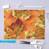 Fallen Autumn Leaves Tissuepapier (Craft)