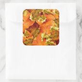 Fallen Autumn Leaves Vierkante Sticker (Tas)