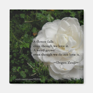 Fallen Camellia/Zen Quote Magneet