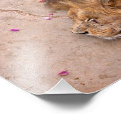 Fallen King Foto Afdruk (Hoek)