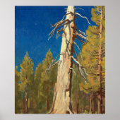 Fallen Leaf van Maynard Dixon Poster (Voorkant)